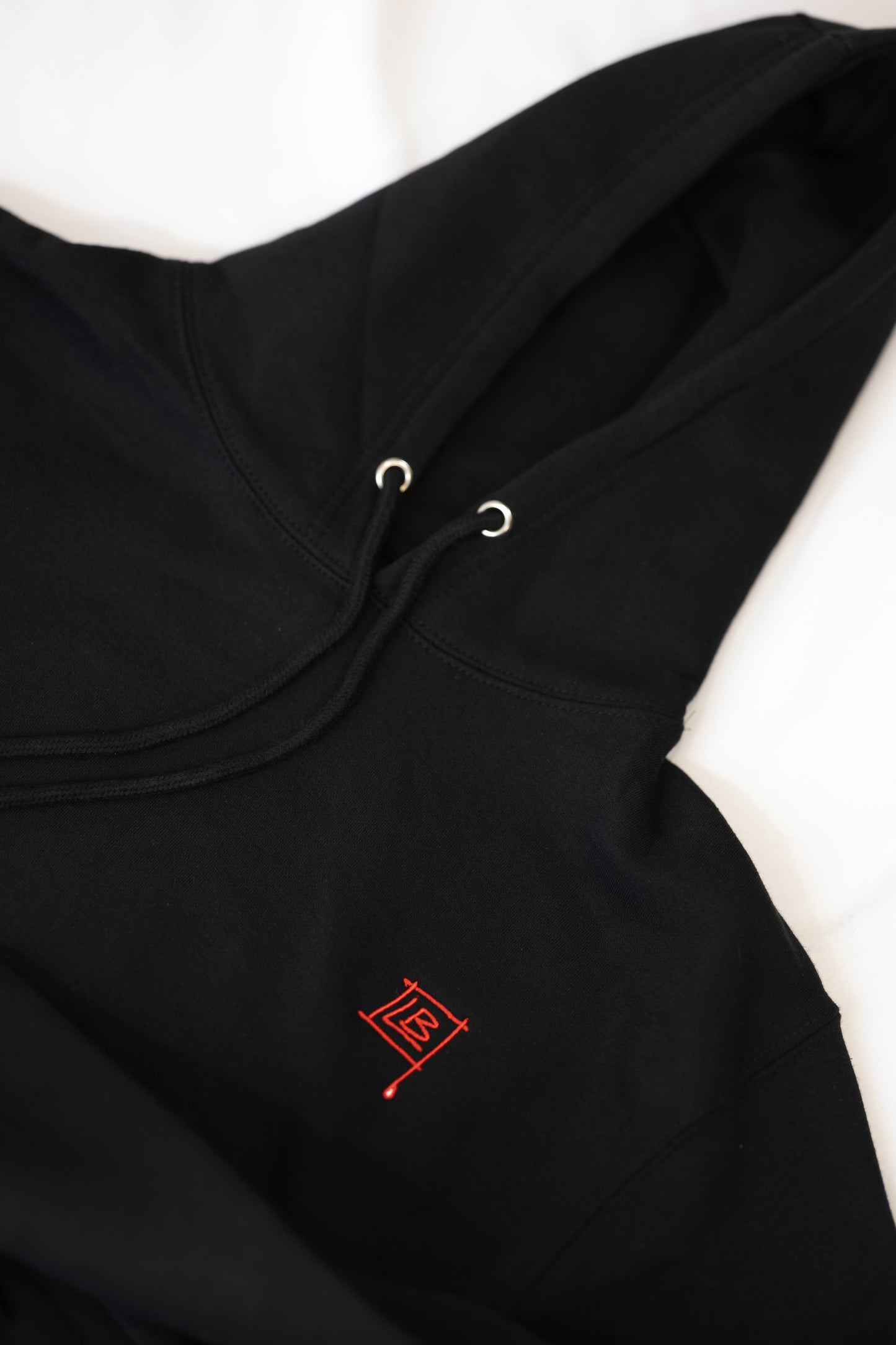 Baptized by Fire Hoodie
